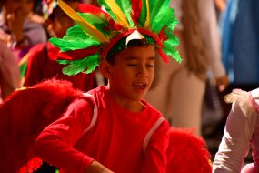 FödvTene SantaCruz 25_40